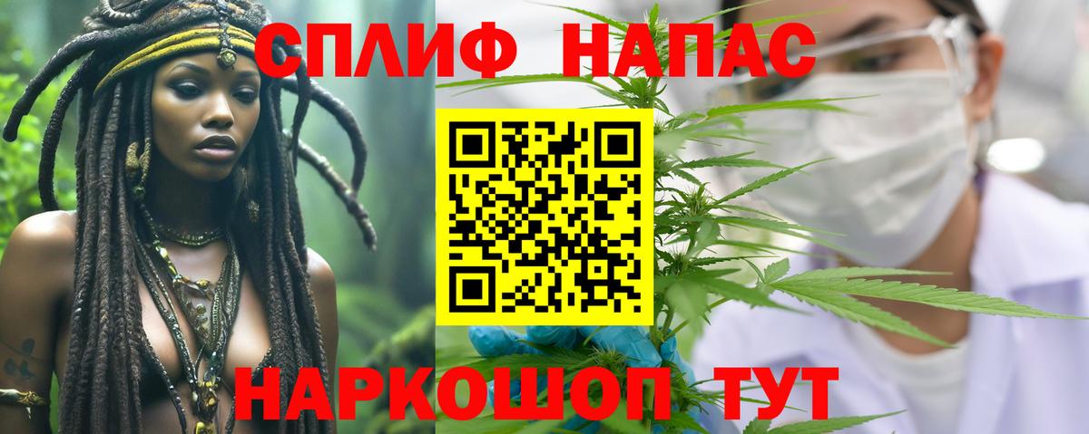 Бошки Шишки план Клинцы